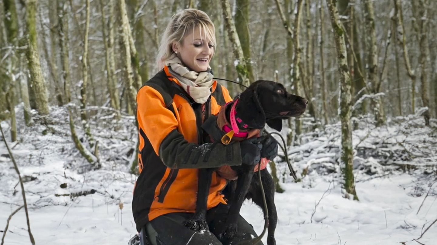 Les chiens venus d'outre-Rhin