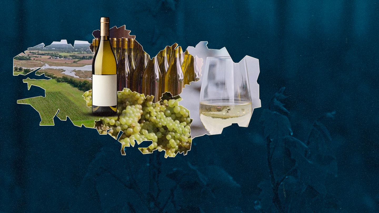 Vins bretons, la nouvelle conquête de l'ouest