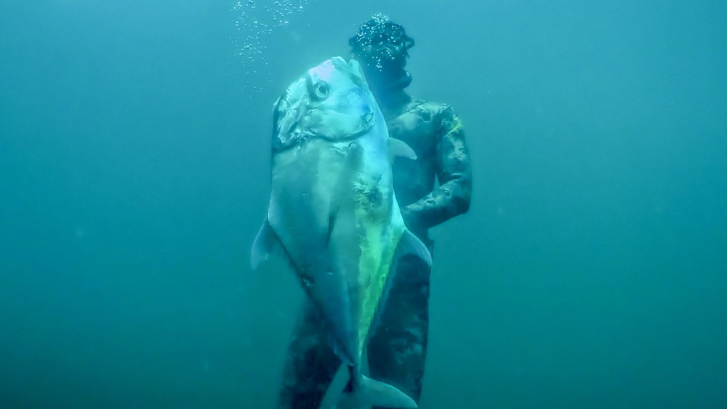 Thazard roi du Qatar