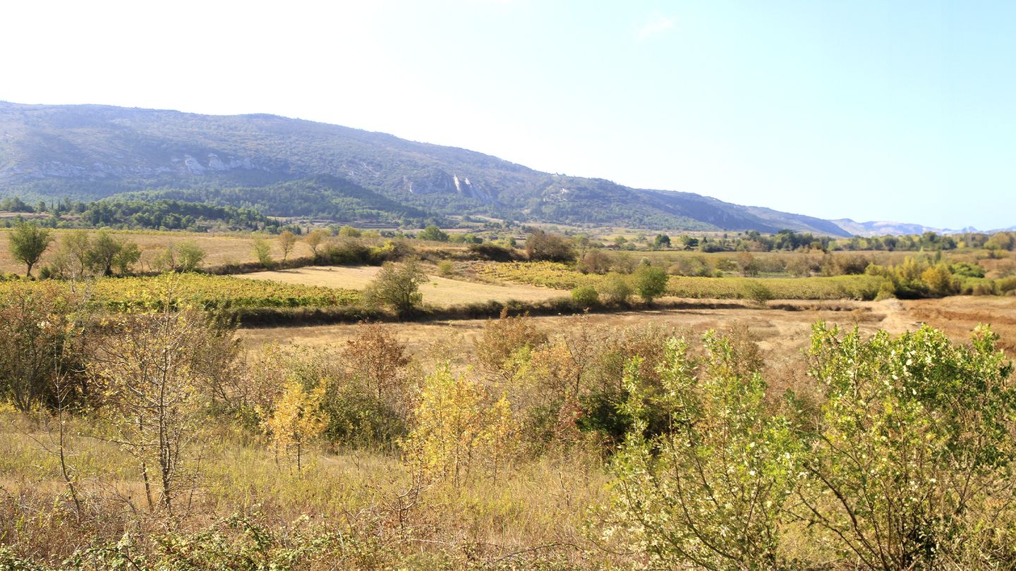 Billebaudes dans l'Aude
