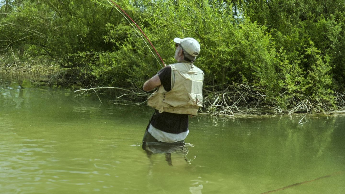 Nos poissons d'eau douce à la mouche