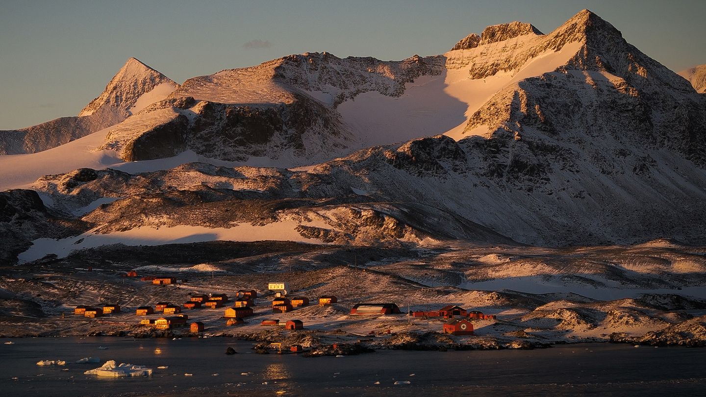 Les sentinelles de l'Antarctique