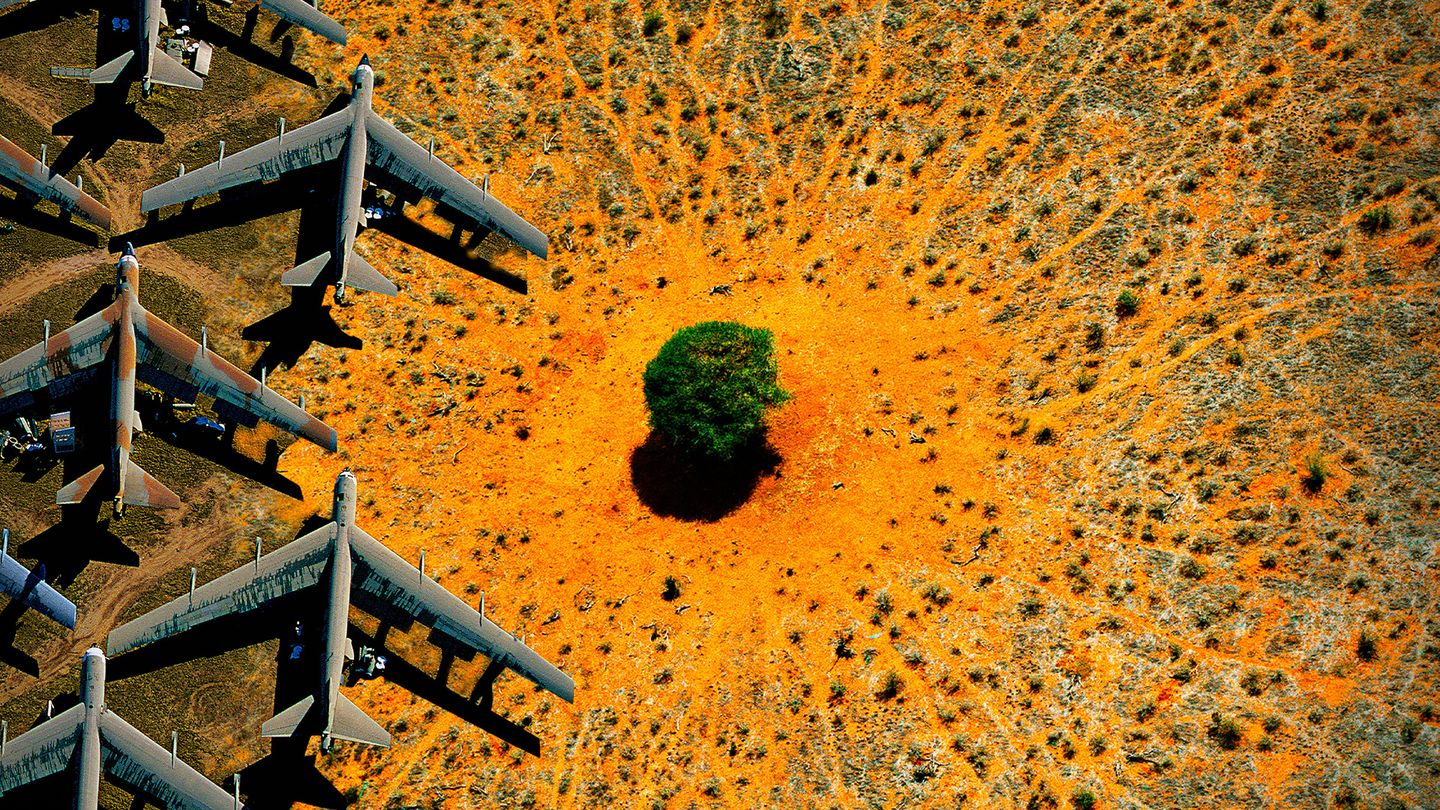 Nature : pour une réconciliation