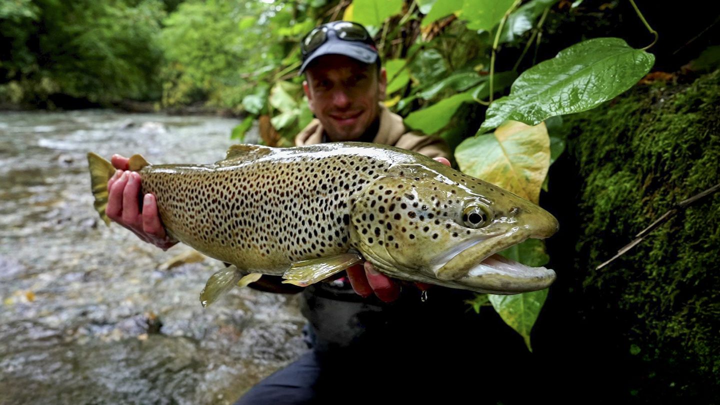 Isère, la géante des Alpes