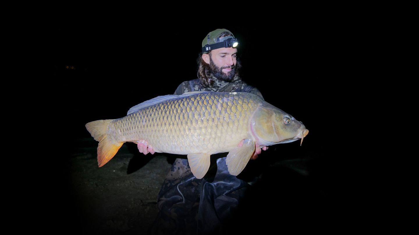 Trésors des fleuves, la traque des carpes sauvages