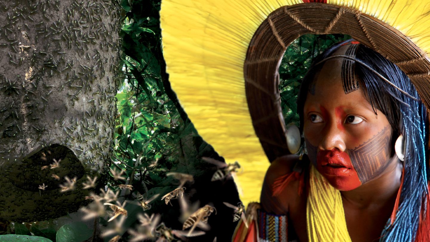 Amyu, l'armée des hommes guêpes