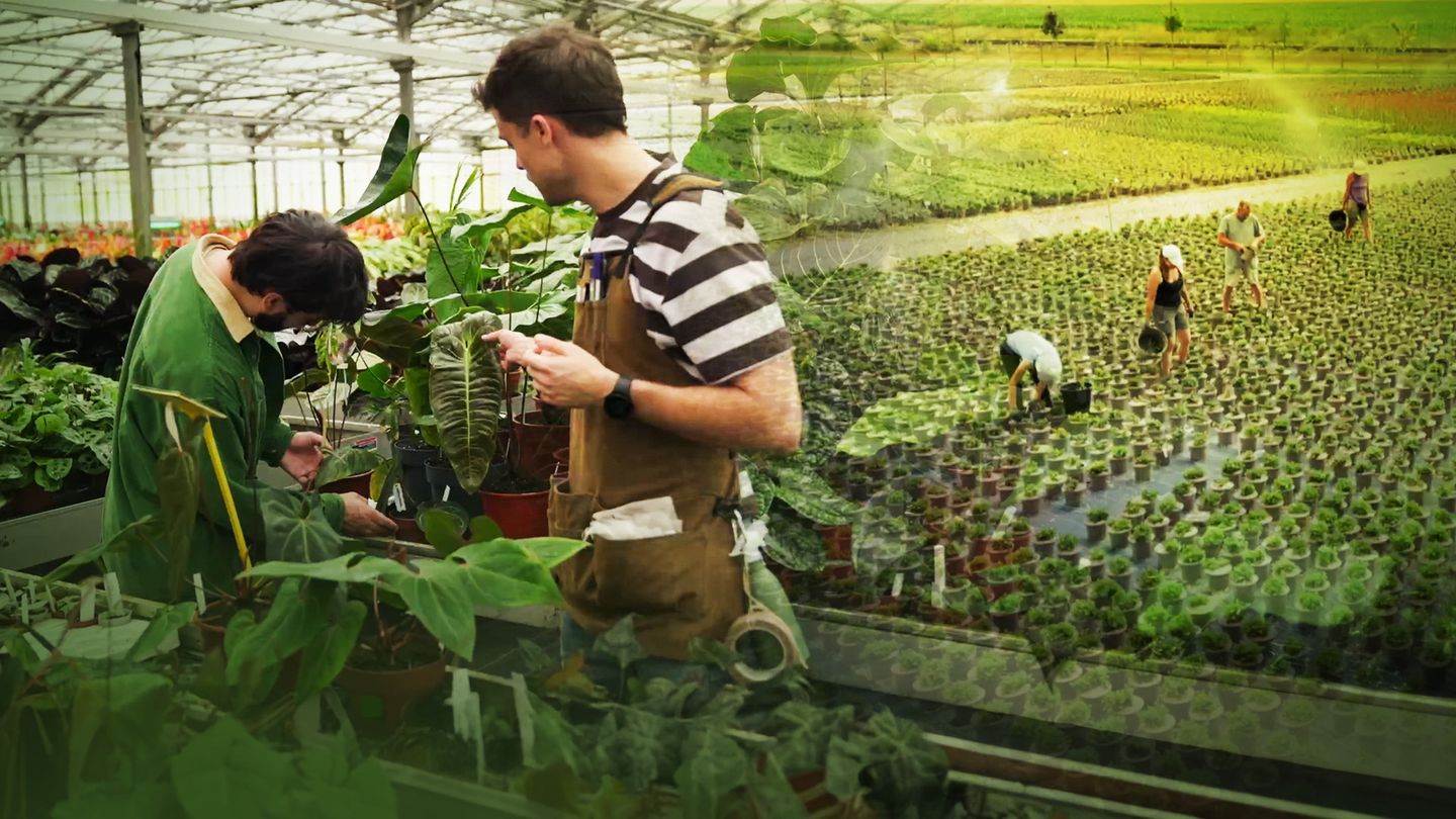 Le jardinage, ça ratisse large !