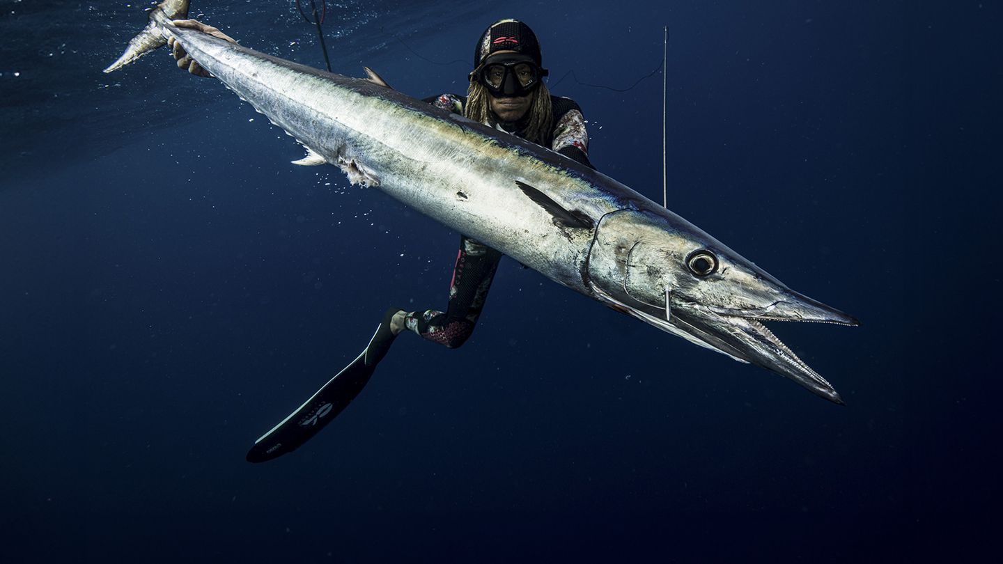 Chasse sous-marine en Guadeloupe