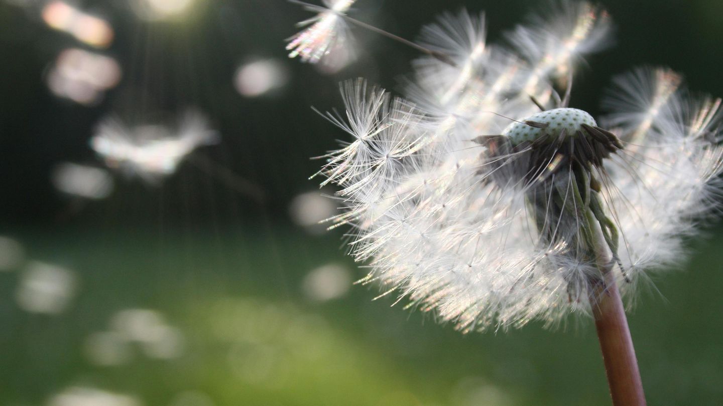 La Raffinerie, ici commence l'après