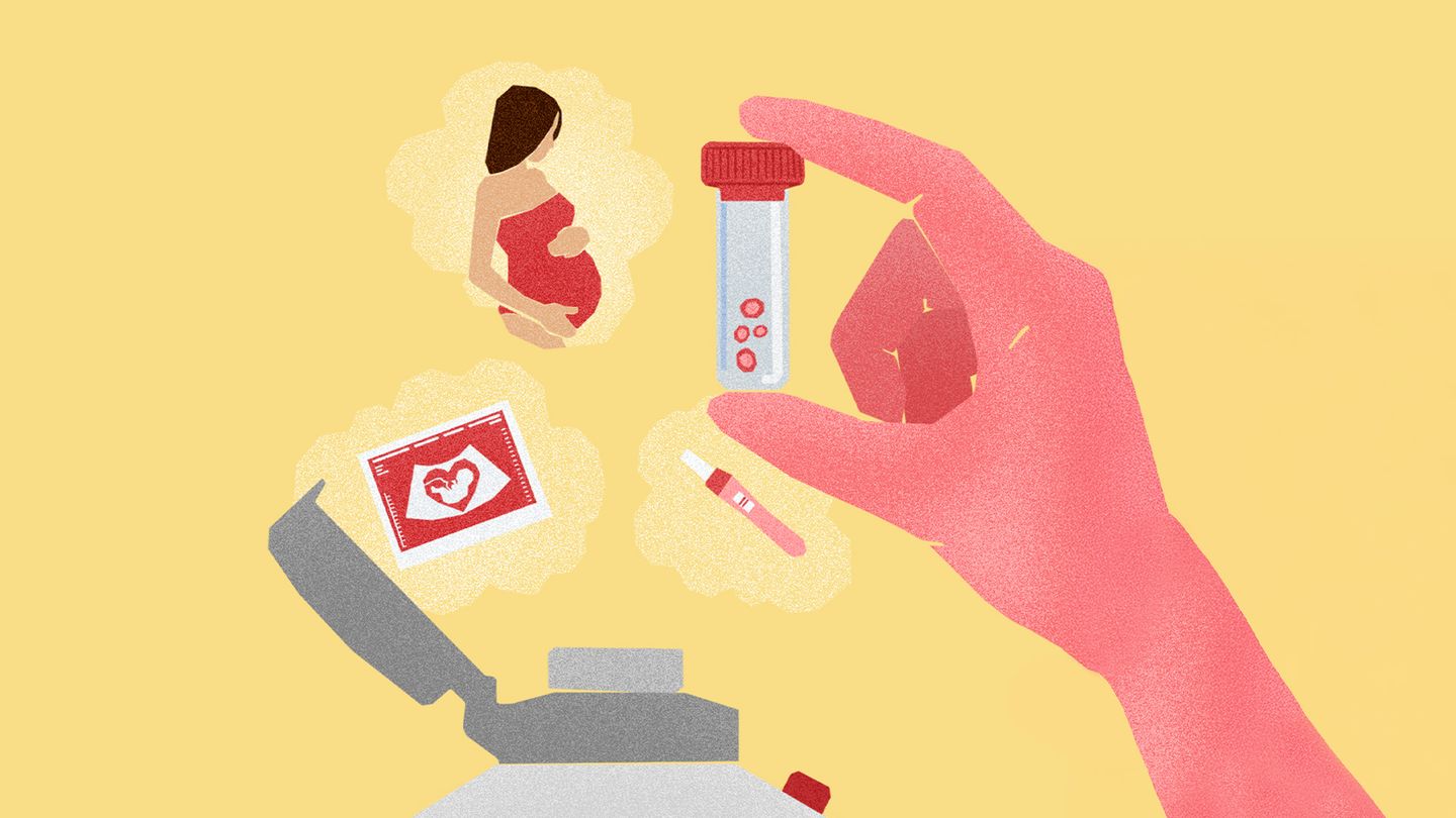 En quête d'ovocytes