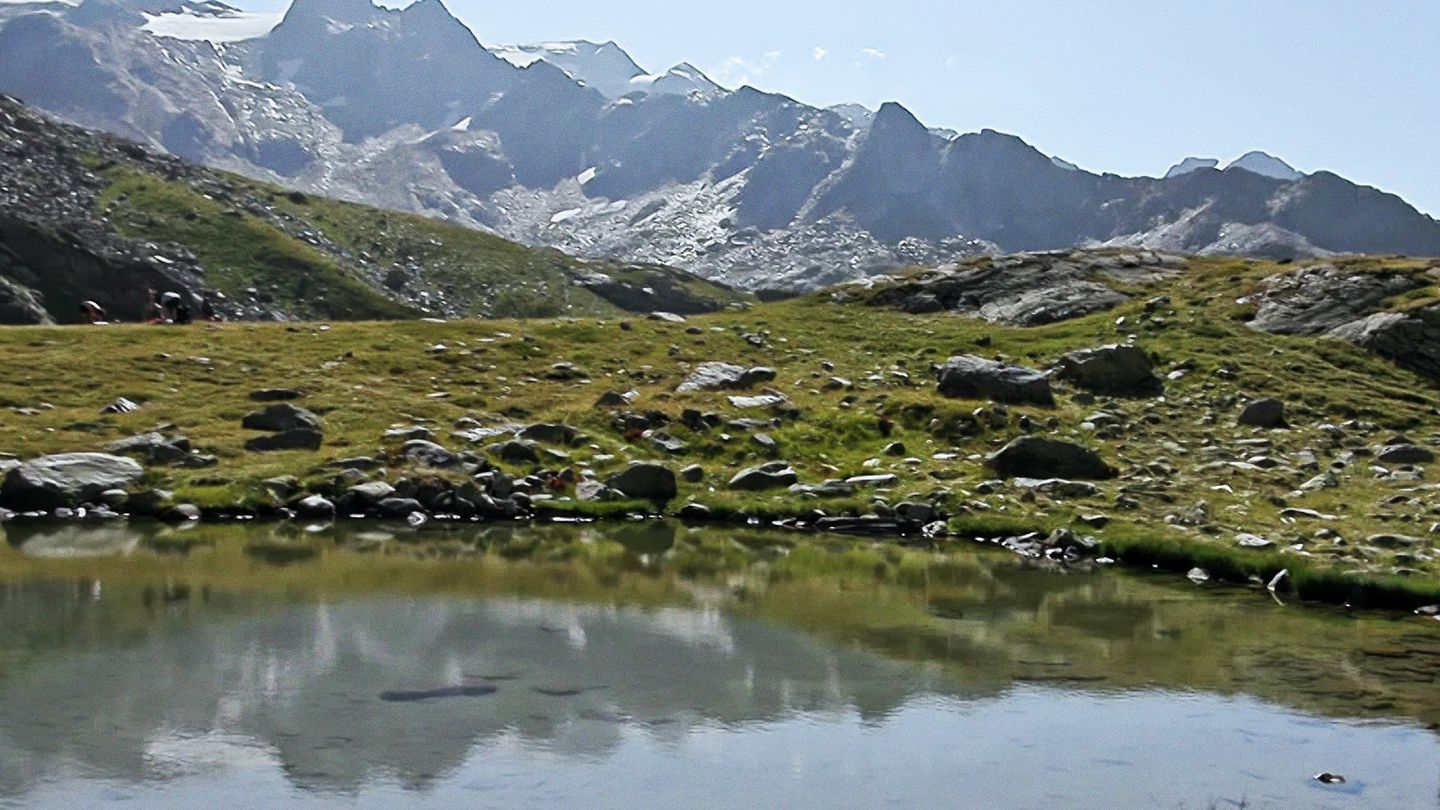 La truite en torrent et en lac dans les Alpes