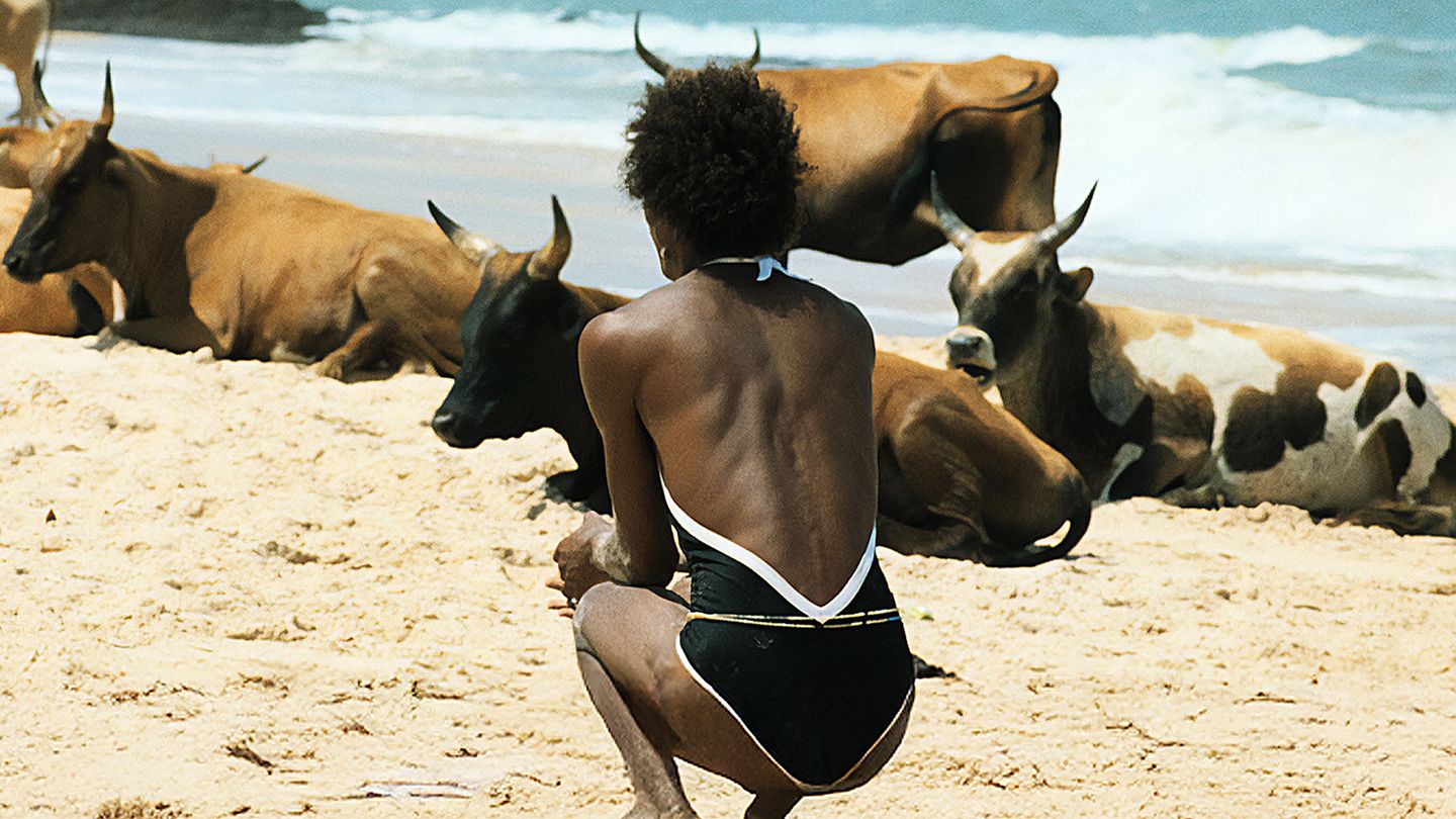 Le rire et le couteau