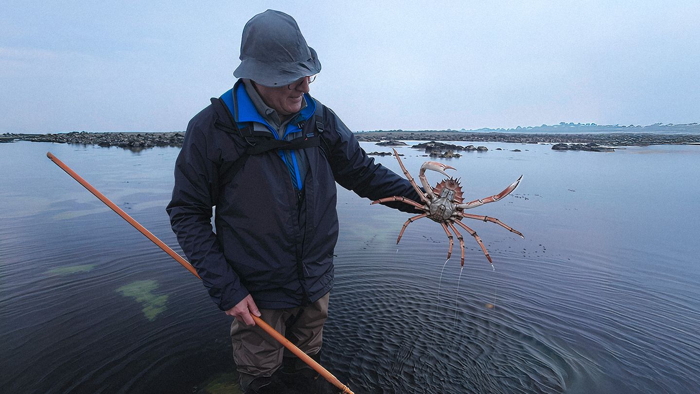 Pêche à pied en Bretagne nord