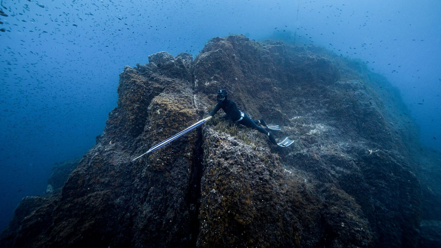 Chasse sous-marine en club