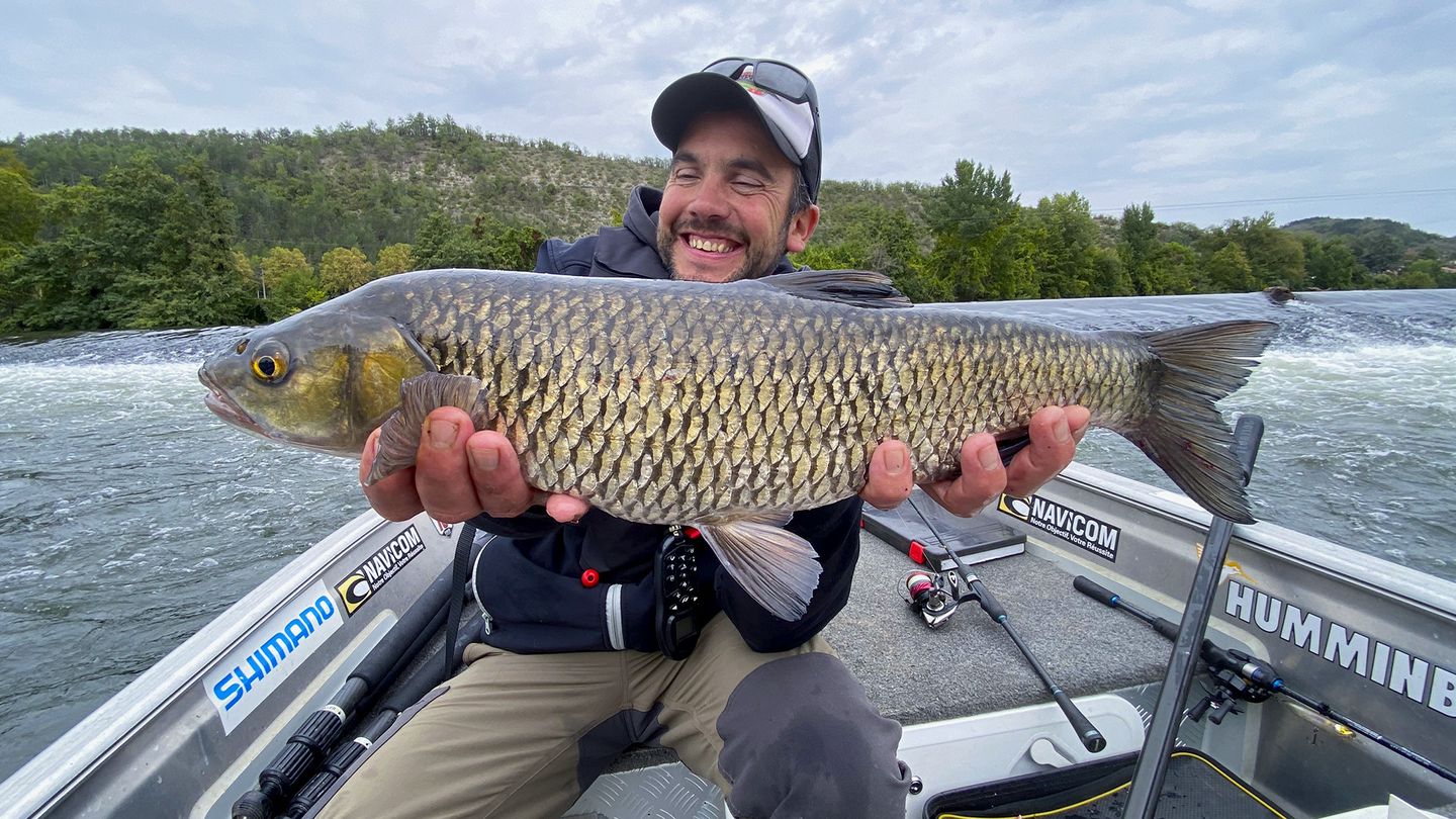 Lot, le grand chelem des cyprinidés