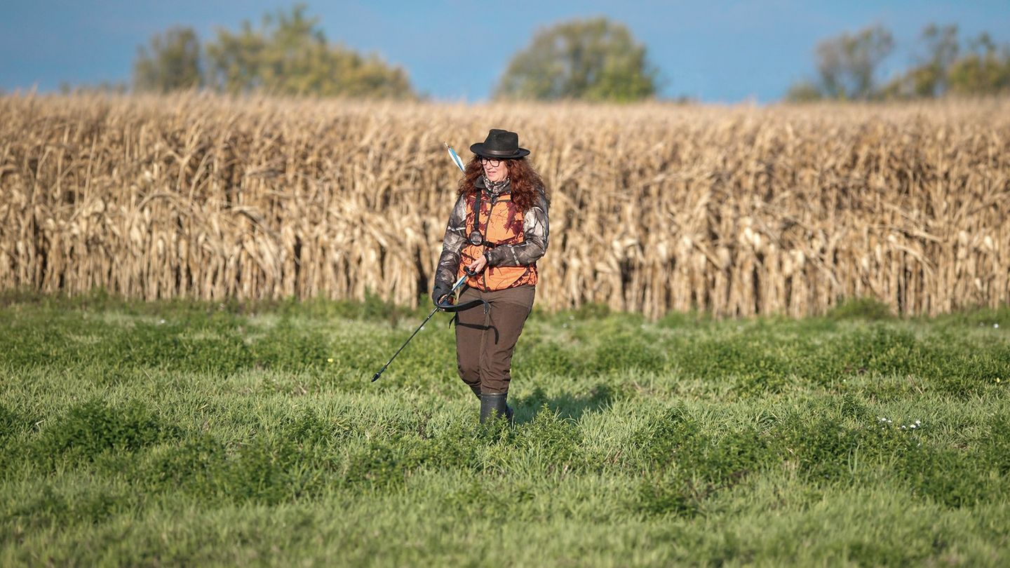 Chasse à l'arc, le défi du petit gibier