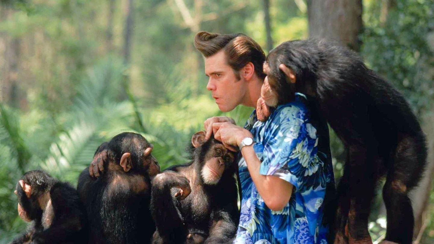 Ace Ventura en Afrique