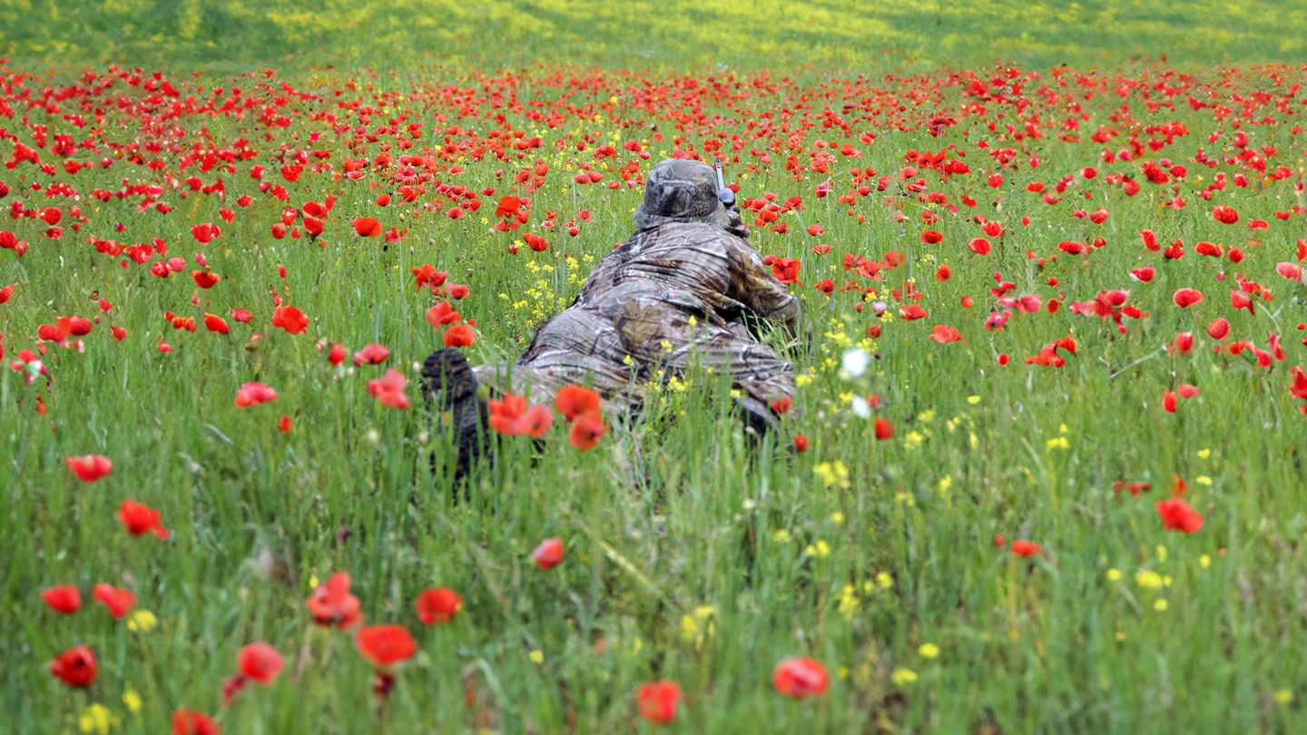 Ouvertures estivales