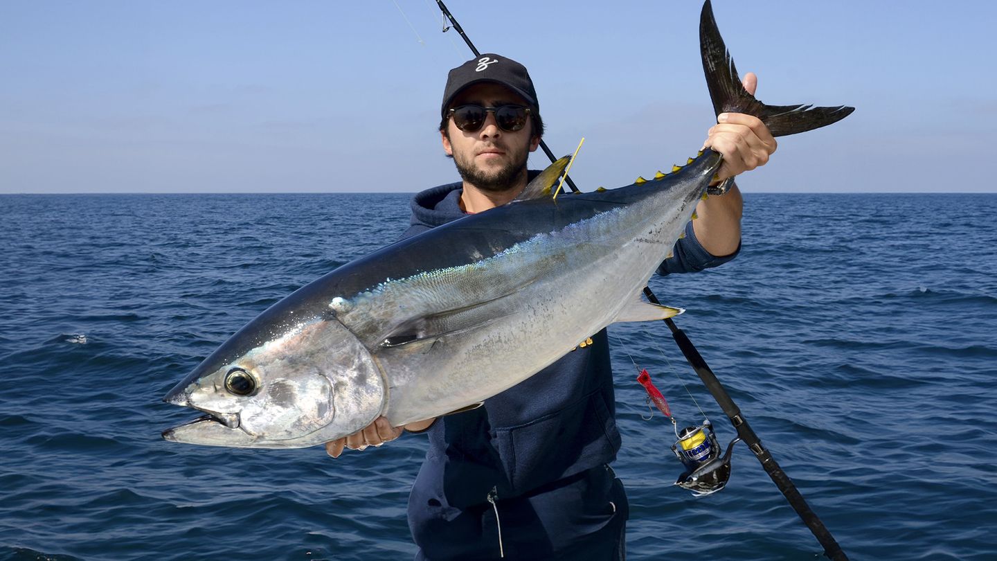 Pays basque : La pêche du thon au leurre