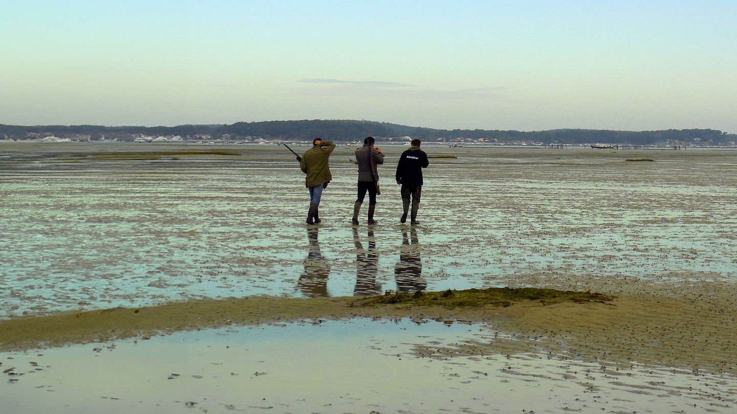 Espaces protégés : menace ou chance pour la chasse ?