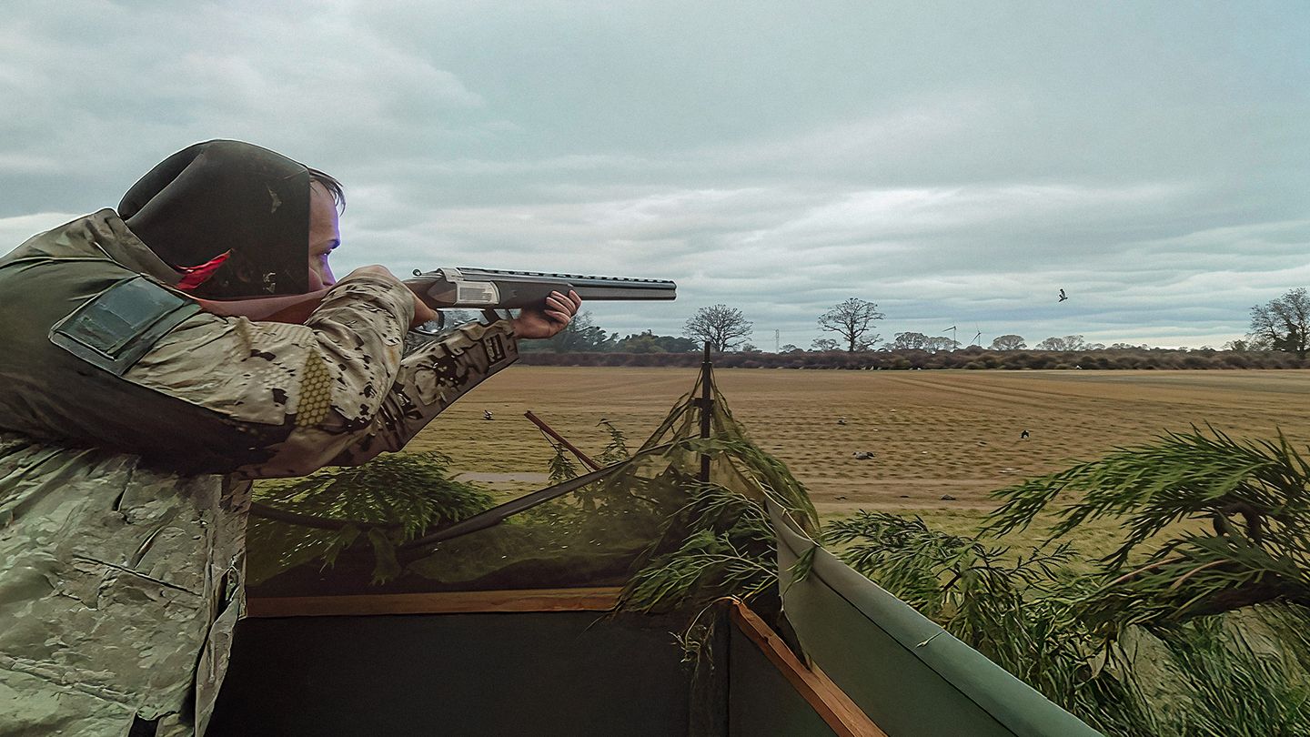 Pigeon vole... au pays de la rose