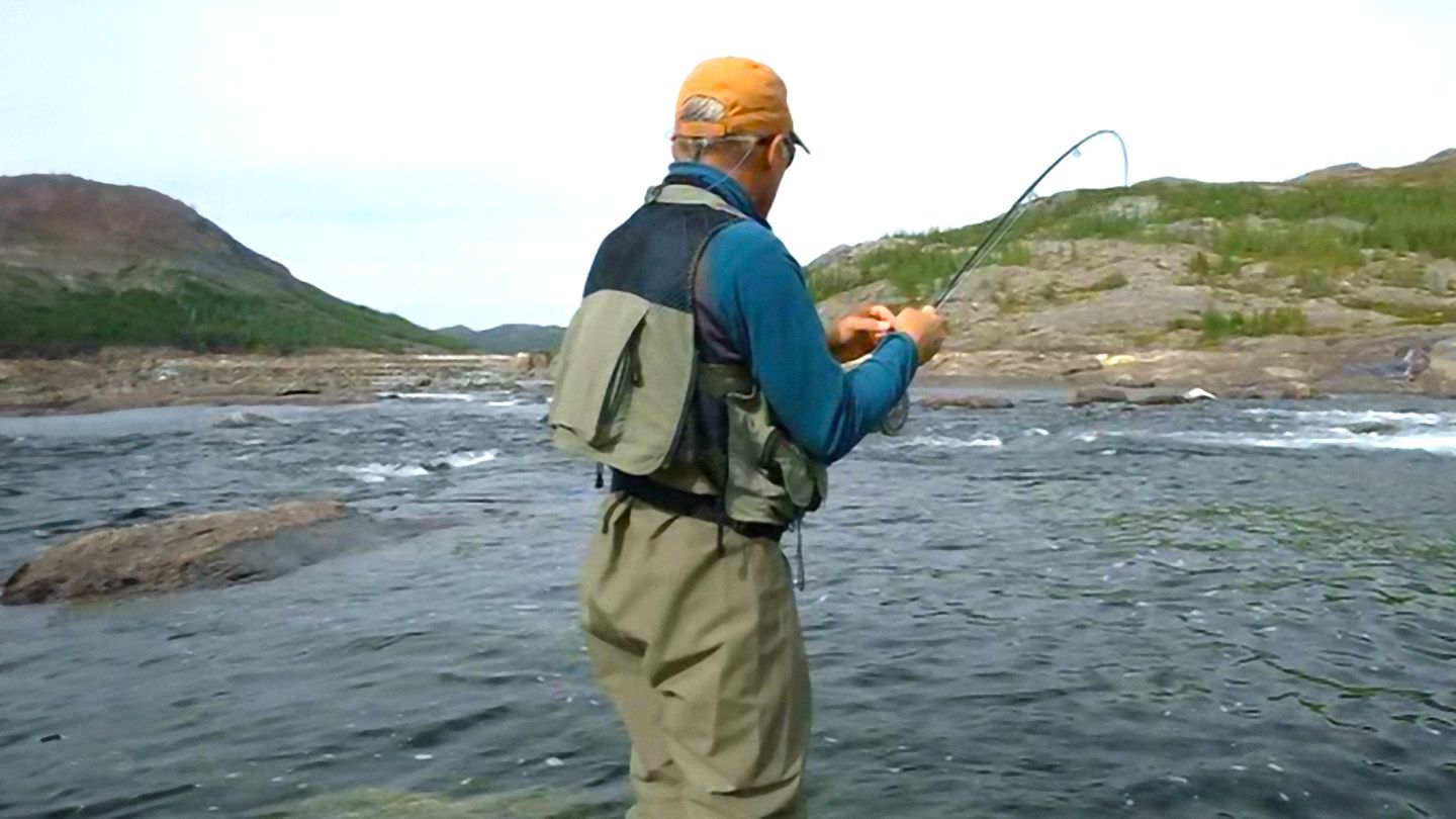 Les ombles arctiques du Nunavik