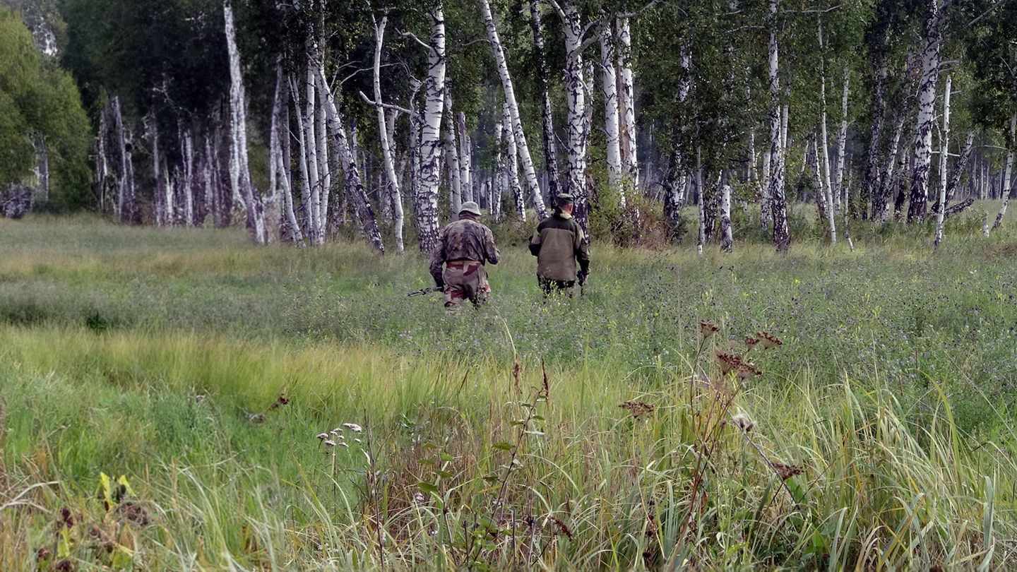 Chevreuil de Sibérie : la quête du Graal