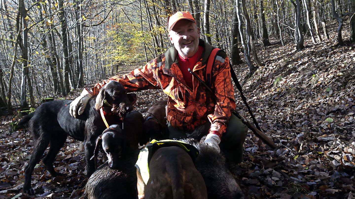 Jamais sans mes chiens