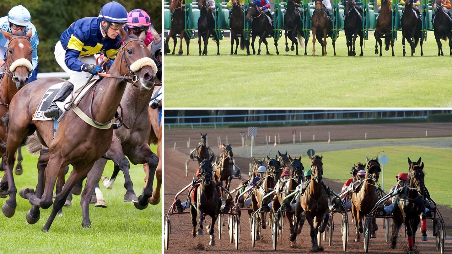 L'intégrale des courses