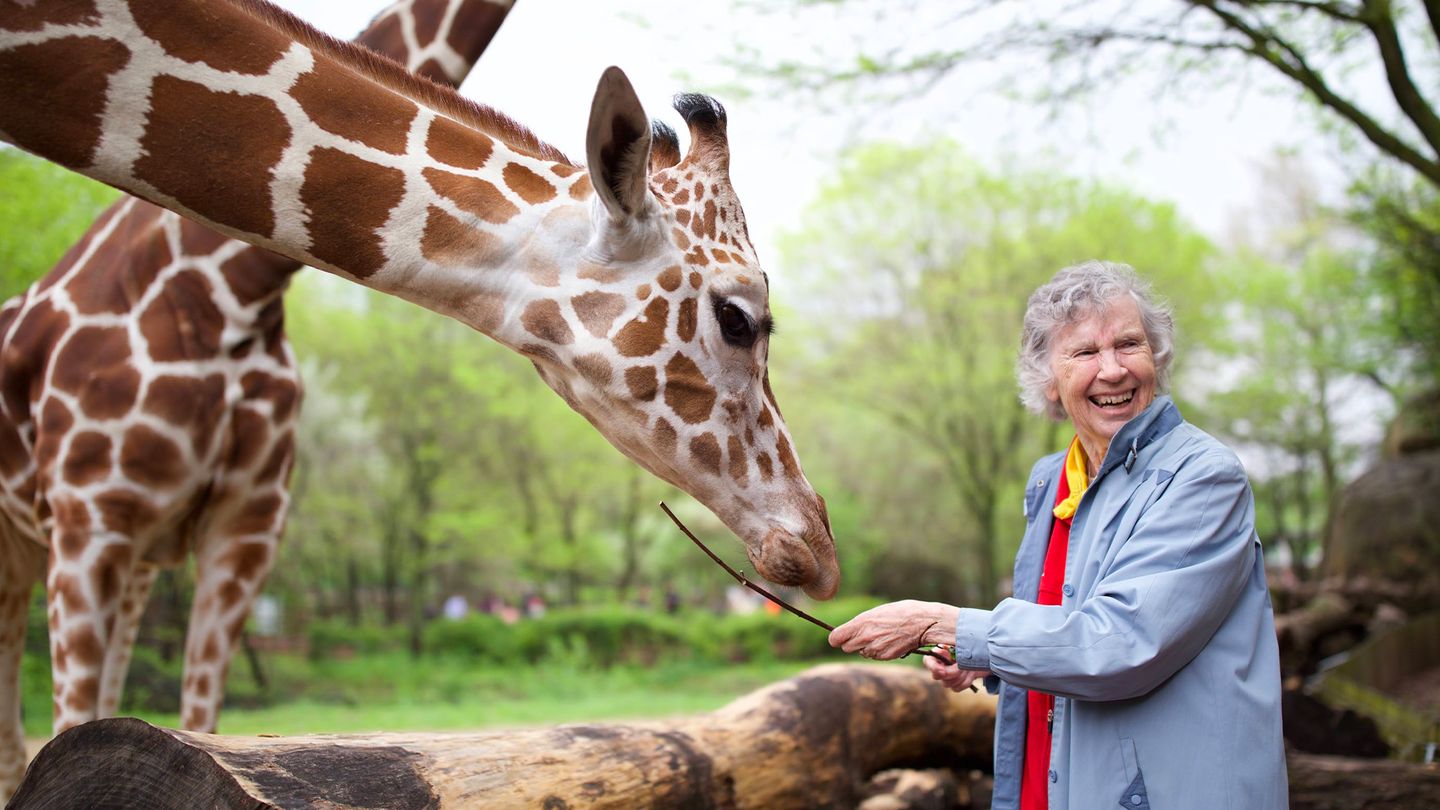 Anne Dagg la passion des girafes