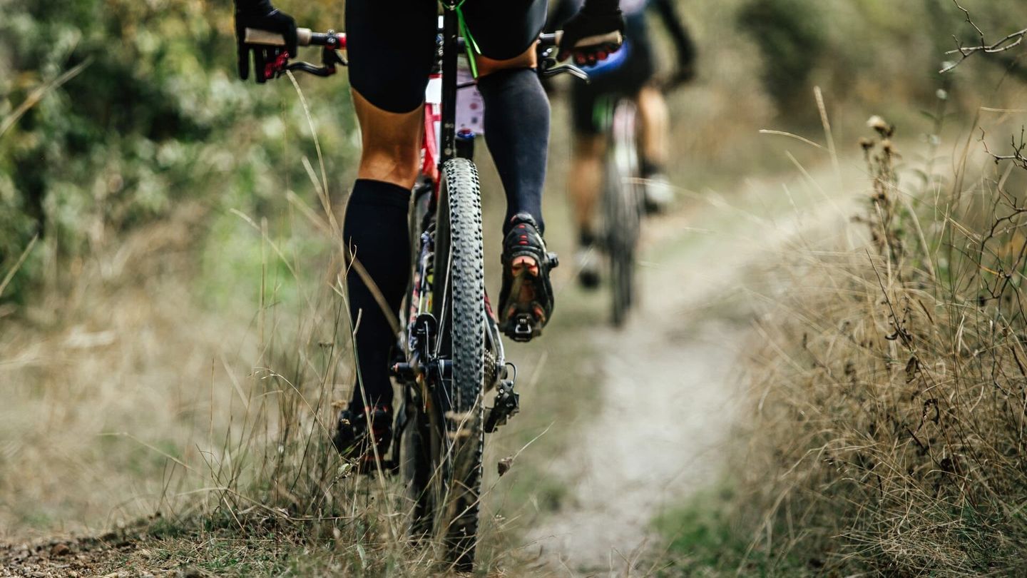 Les meilleurs moments