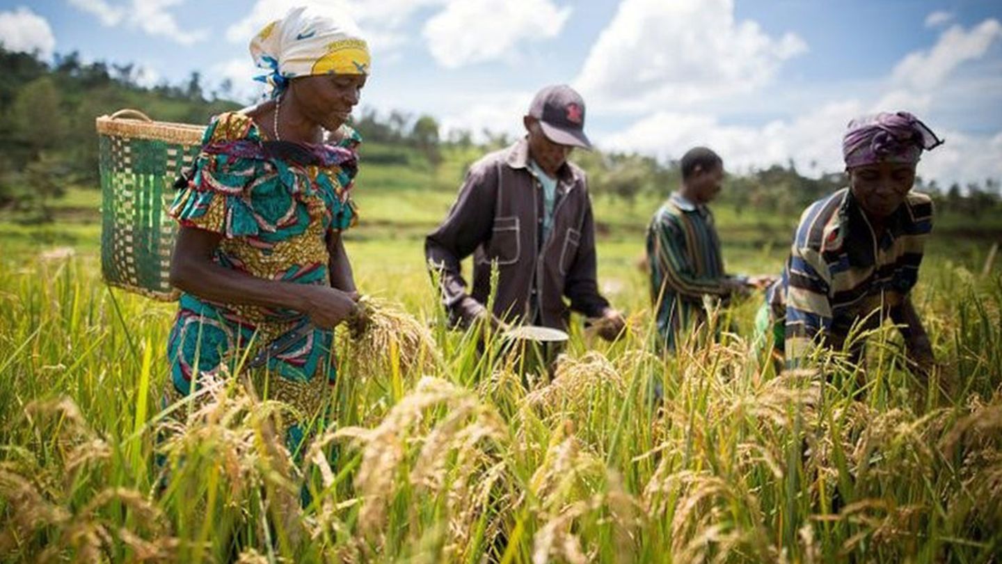 Elles sèment le monde de demain