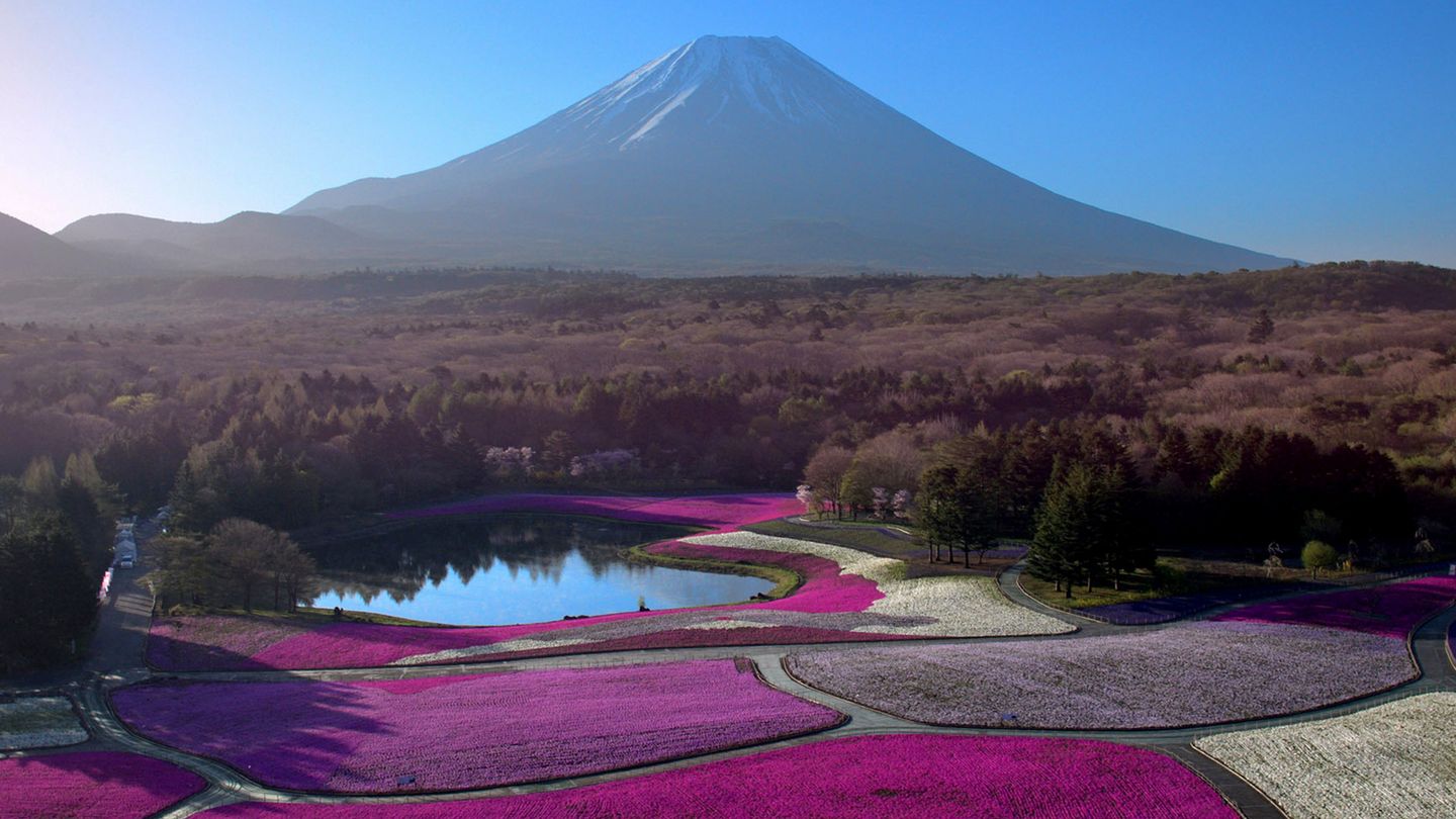 Japon, aux racines du soleil