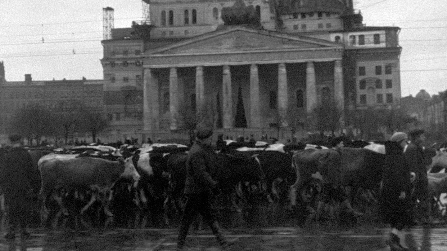 Moscou 1941 : Les voix de la mémoire