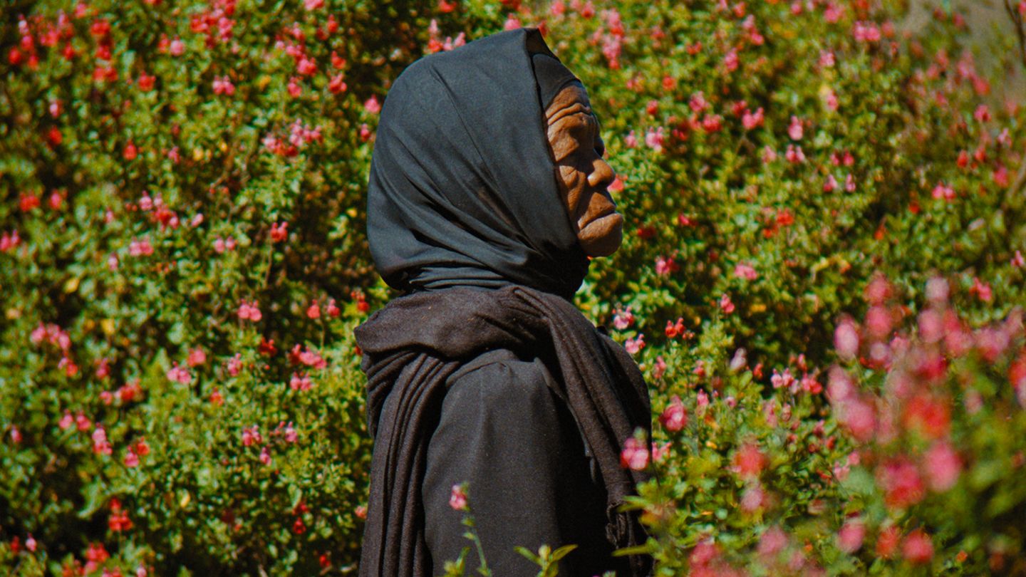 L'Indomptable feu du printemps