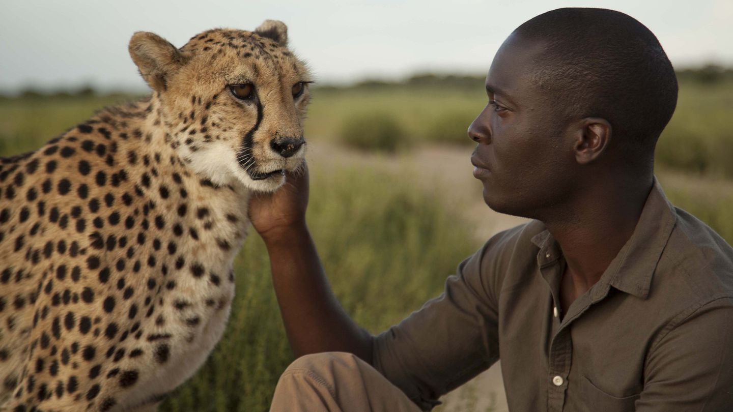 Les supersens des animaux