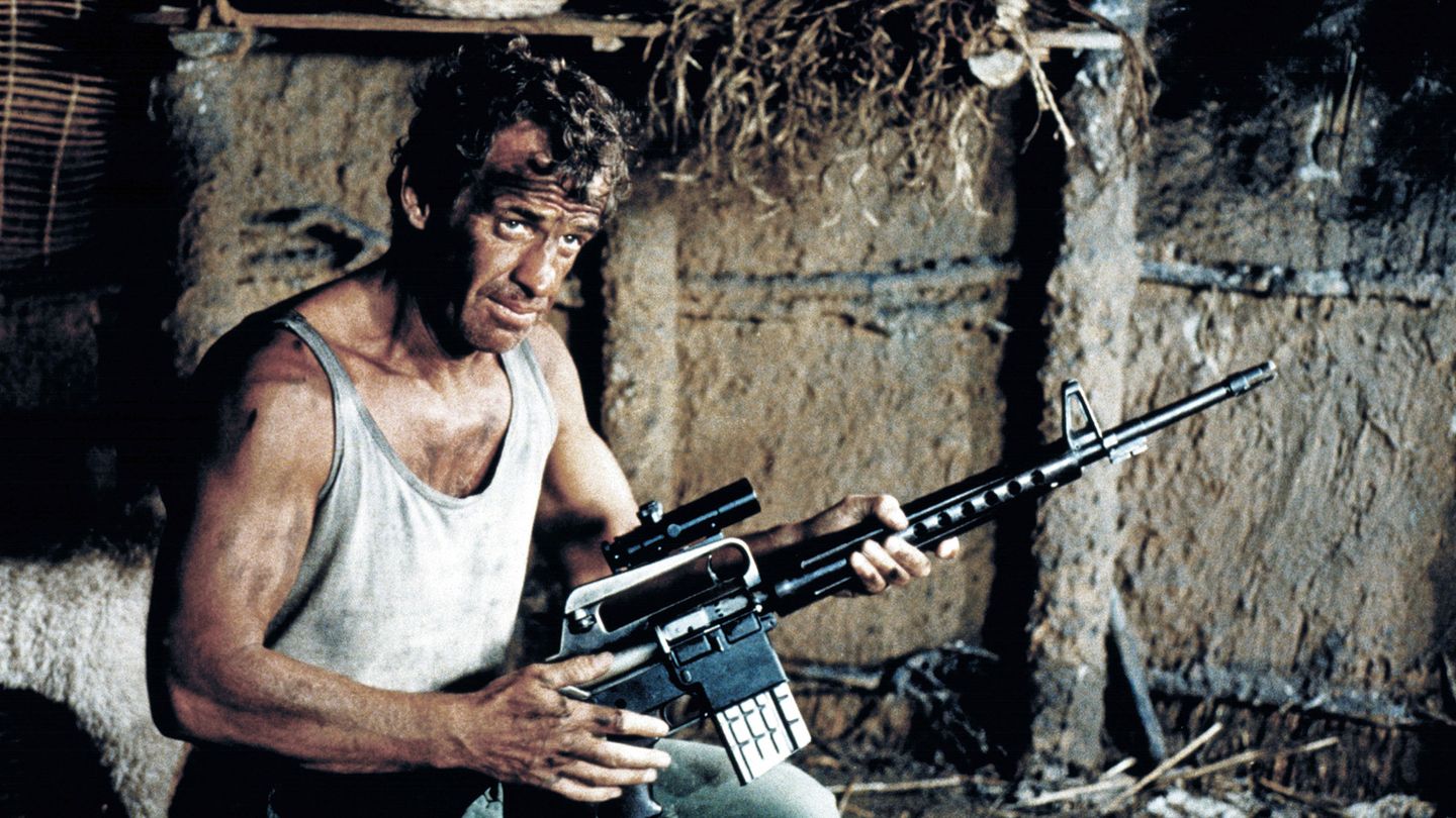 Le professionnel