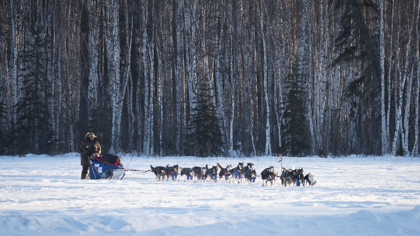 Iditarod, la dernière course de Nicolas Vanier
