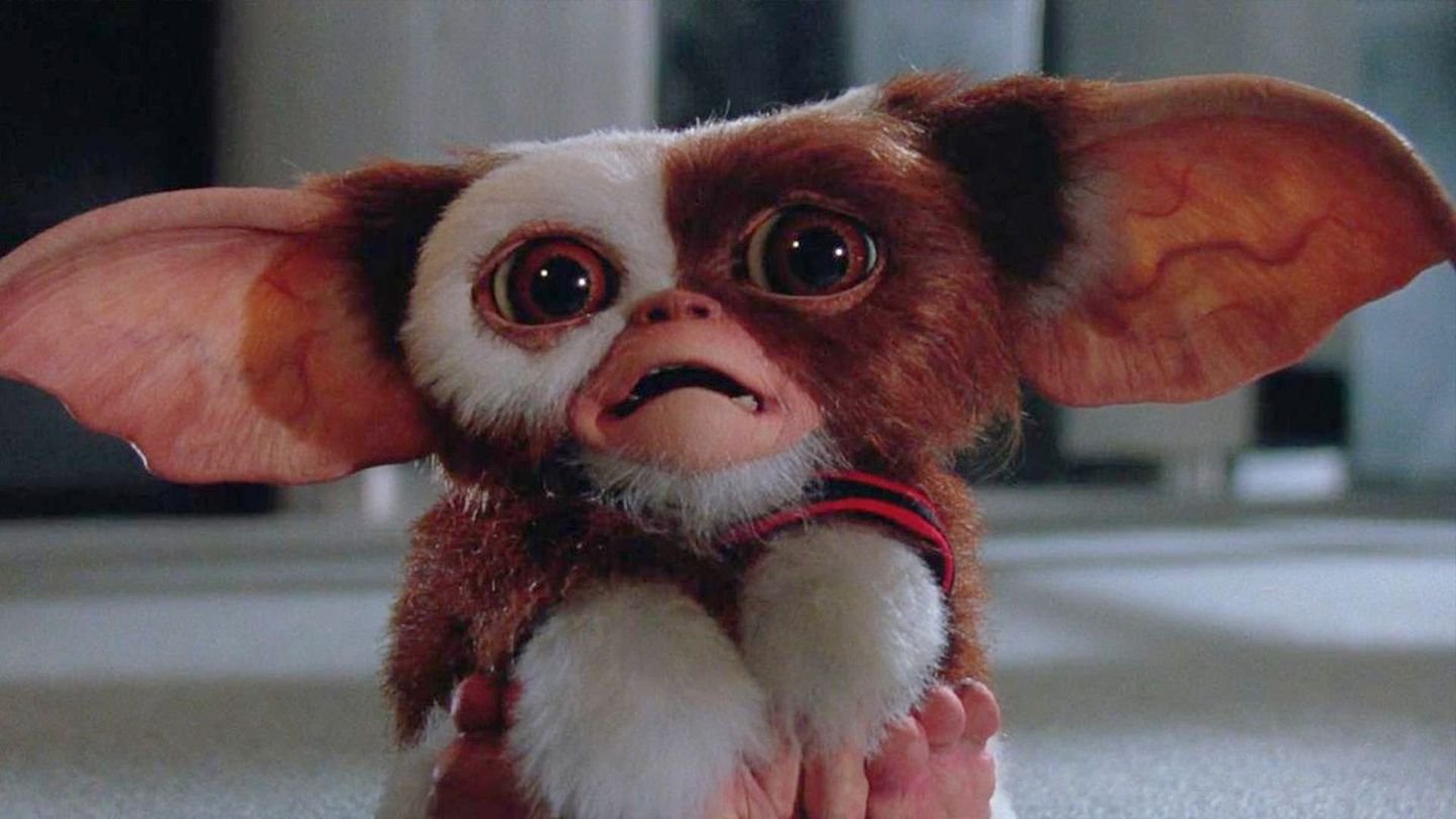 Gremlins en streaming direct et replay sur CANAL+ | myCANAL