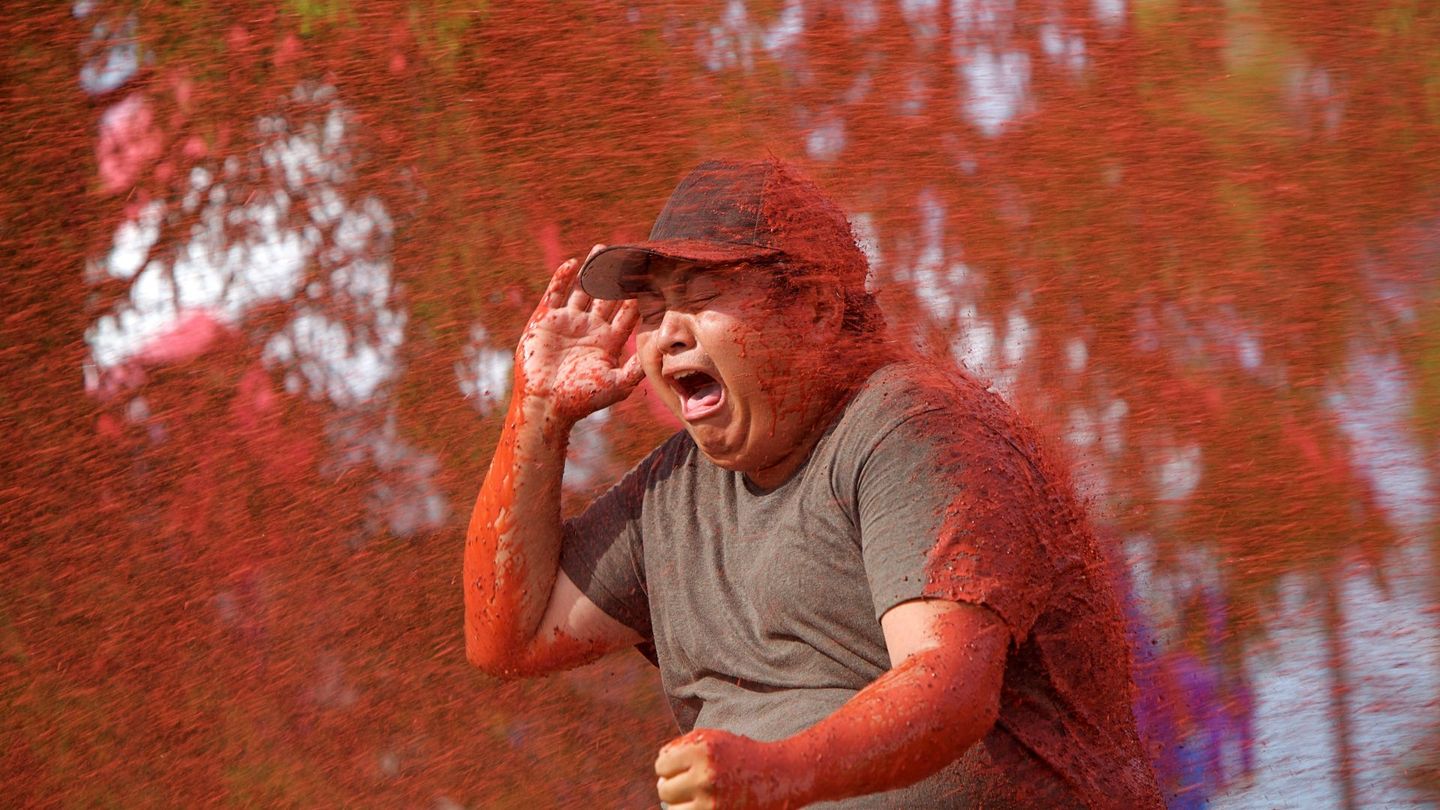 Swamp Shark