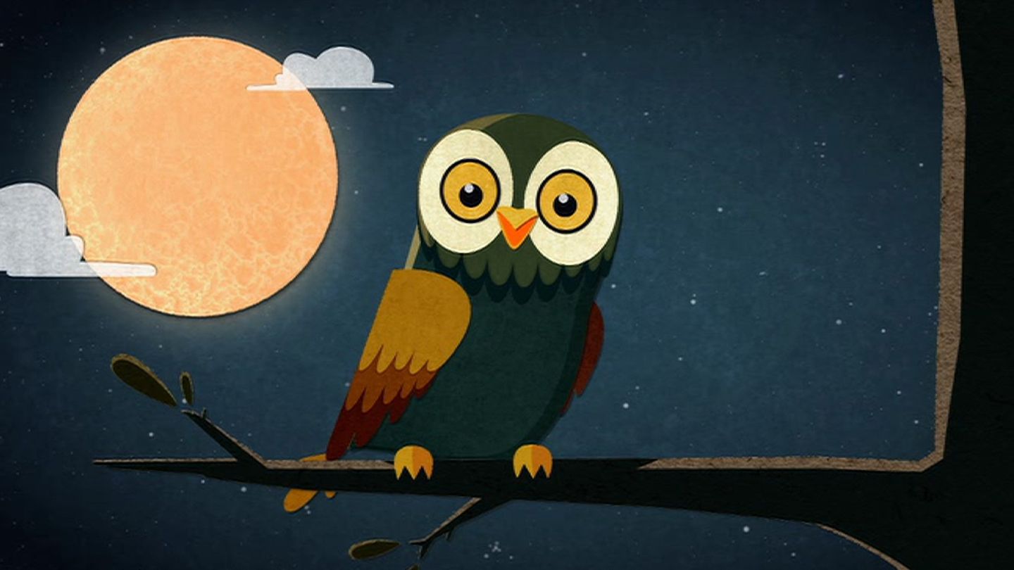 La chouette entre veille et sommeil