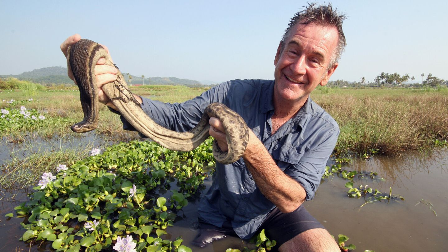 Chasseur de serpents