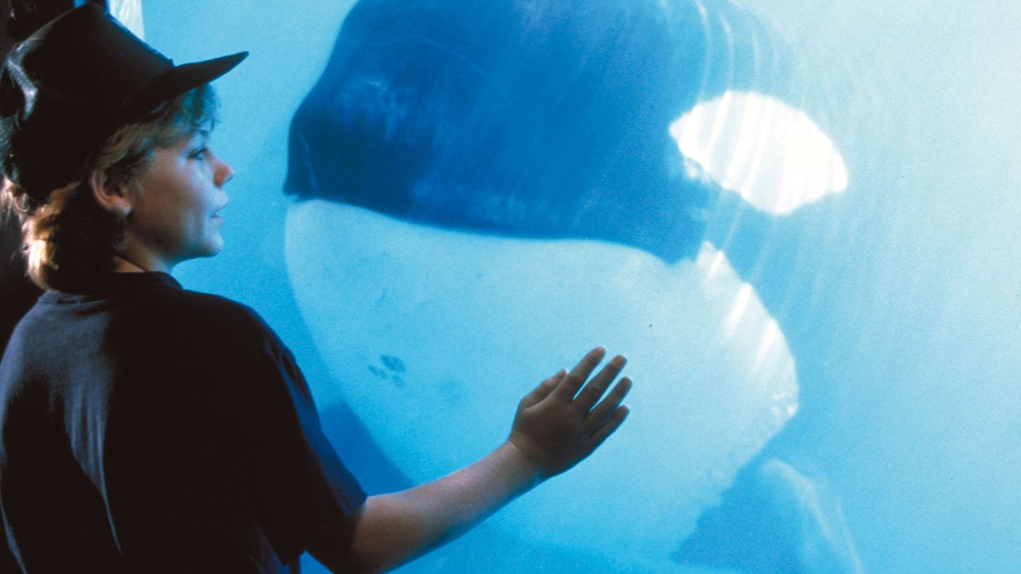 Sauvez Willy