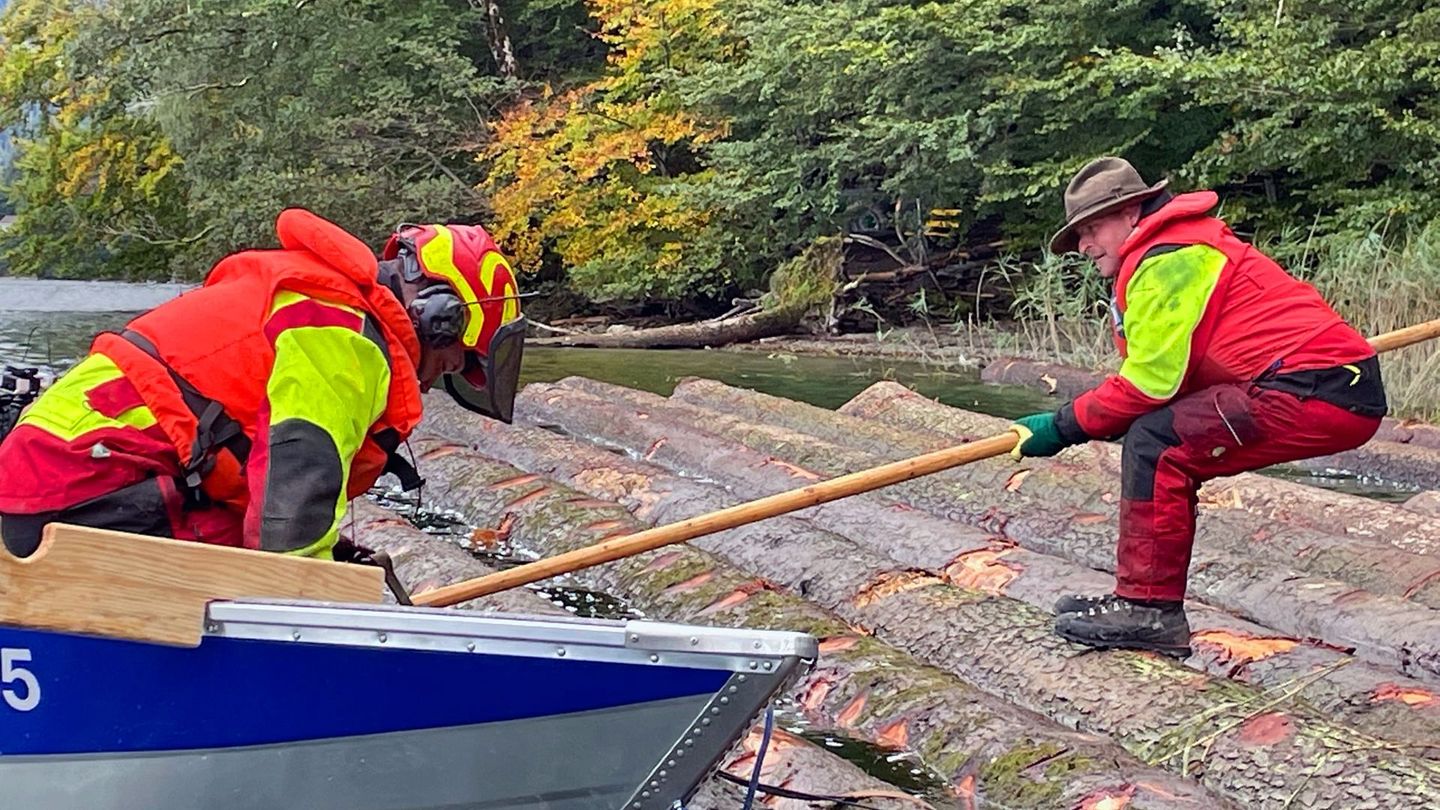 Les flotteurs sur bois du Lac Ägeri