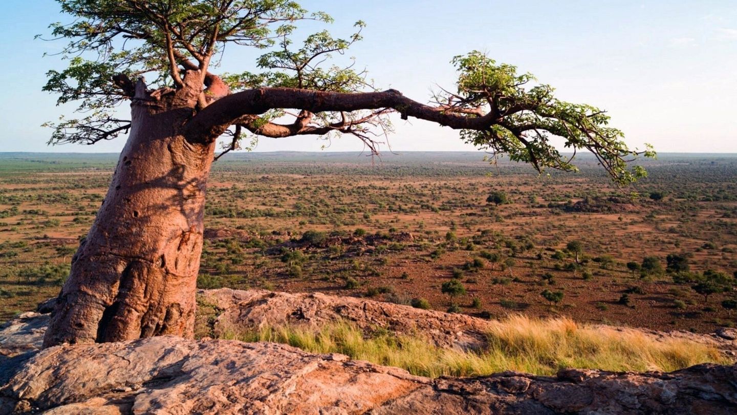 Merveilles d'Afrique