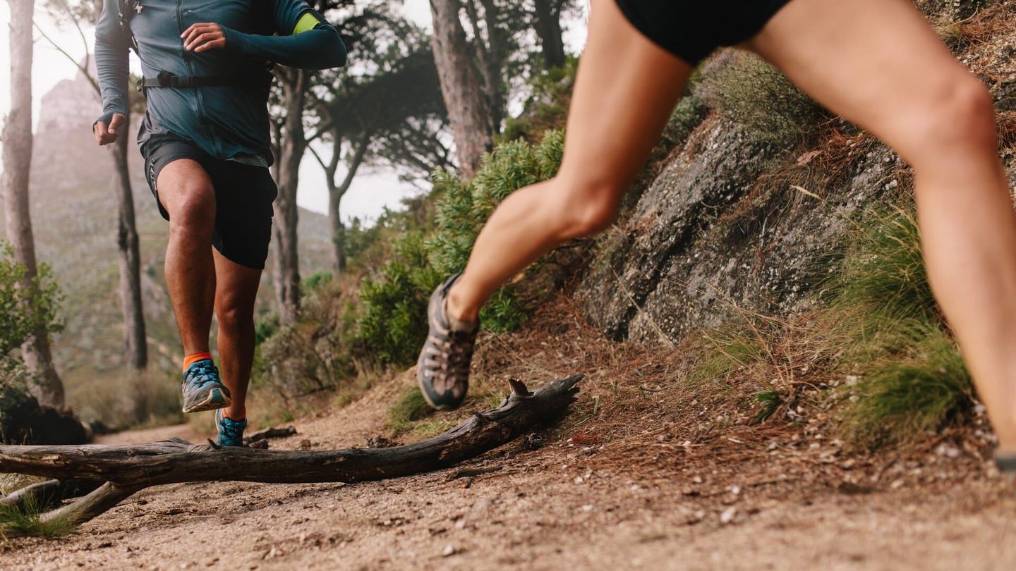 Terre de Trail