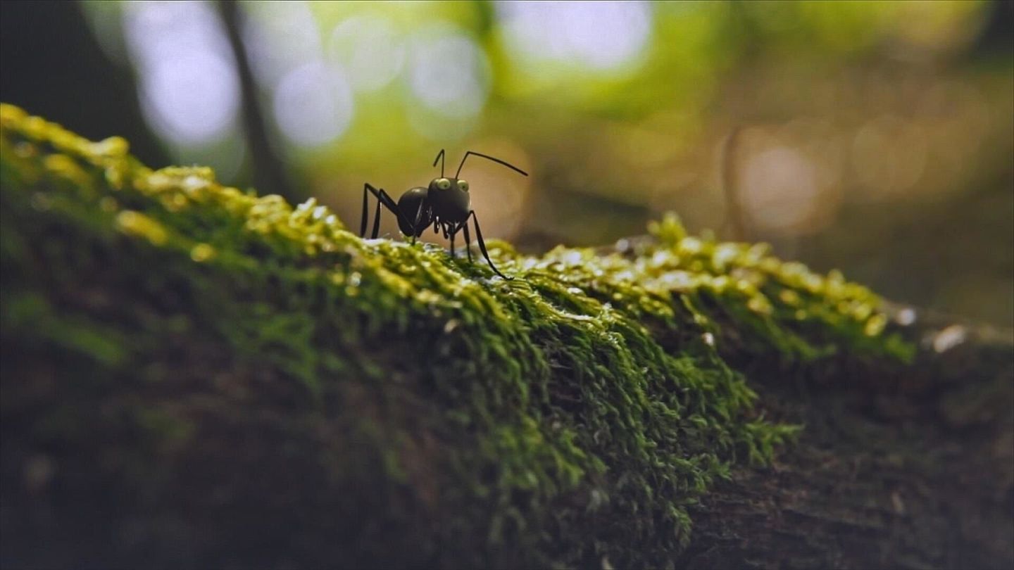 Les parcs naturels... en Minuscule