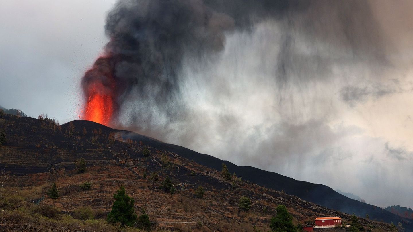 Le volcan de La Palma la vie après l'éruption en streaming direct et