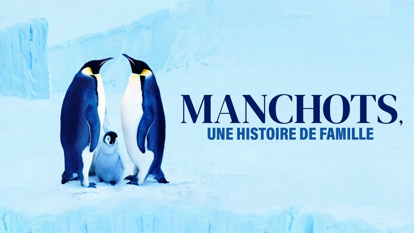 Manchots, une histoire de famille