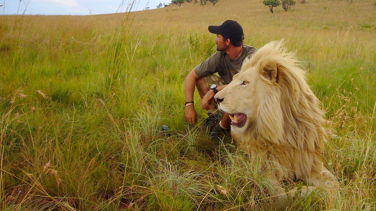 African Safari 3D